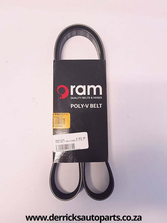 Renault Poly-V Belt